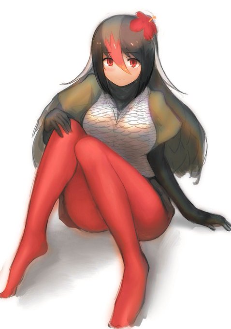 やんばりました 