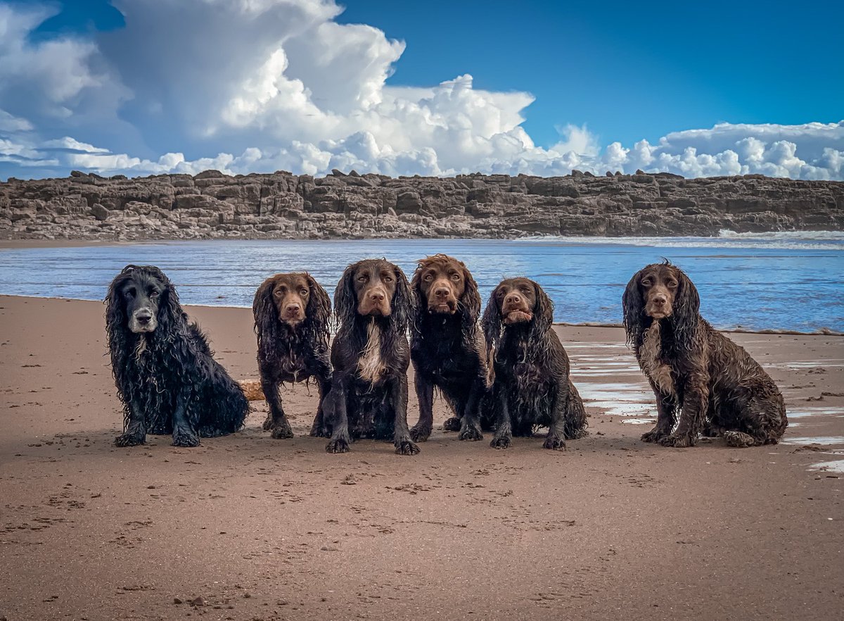 Beach bums 🏖

This could be the Maldives, but it’s Wales 🏴󠁧󠁢󠁷󠁬󠁳󠁿✌️

#walesrocks