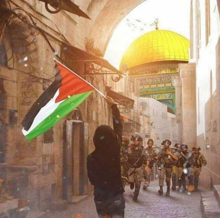 MaadaAhmed's tweet photo. #Free_Palestine https://t.co/bUVXDigBU6