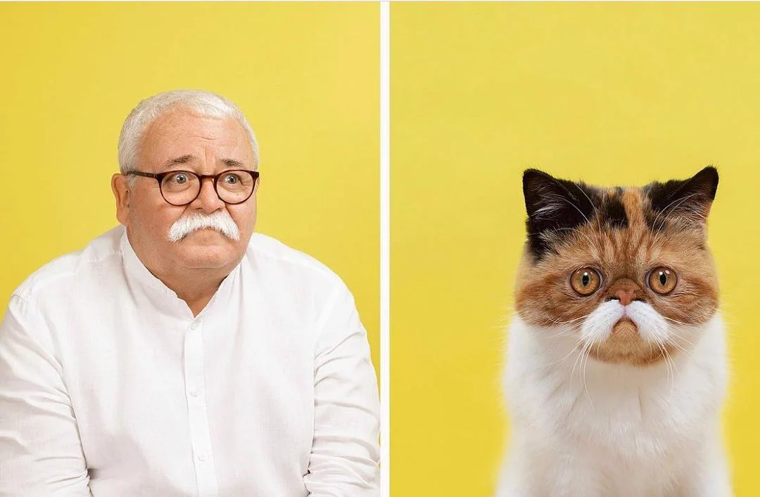 ペットは飼い主に似てくる？飼い主と飼っている猫を比較した結果www