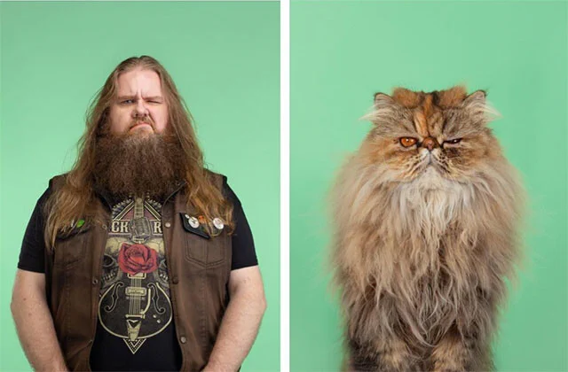 ペットは飼い主に似てくる？飼い主と飼っている猫を比較した結果www