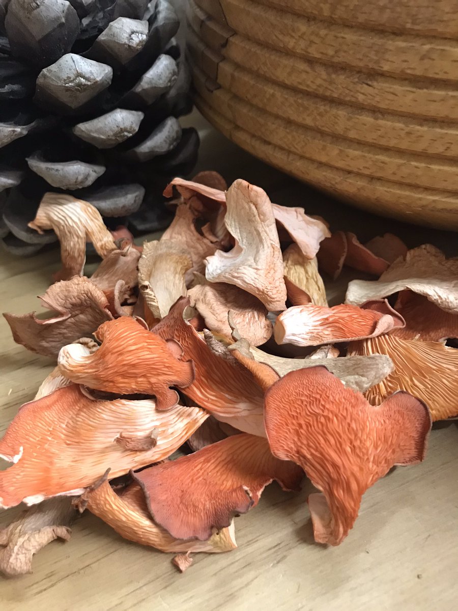 These dried Oyster mushrooms are so much fun and have a lovely bright colour... they will add delicious mushroom flavours to your pasta, rice &amp; omelette! 💚😊 visit our Facebook page to order #oystermushrooms #yellowoyster #pinkoyster #driedmushrooms #mushrooms