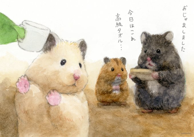 「hamster」 illustration images(Latest)｜21pages