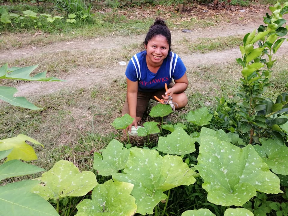 This year, S.H.A.R.E. is supporting hundreds of family gardens in our projects in several countries. Families have improved nutrition and perhaps a little income selling produce to neighbours.
