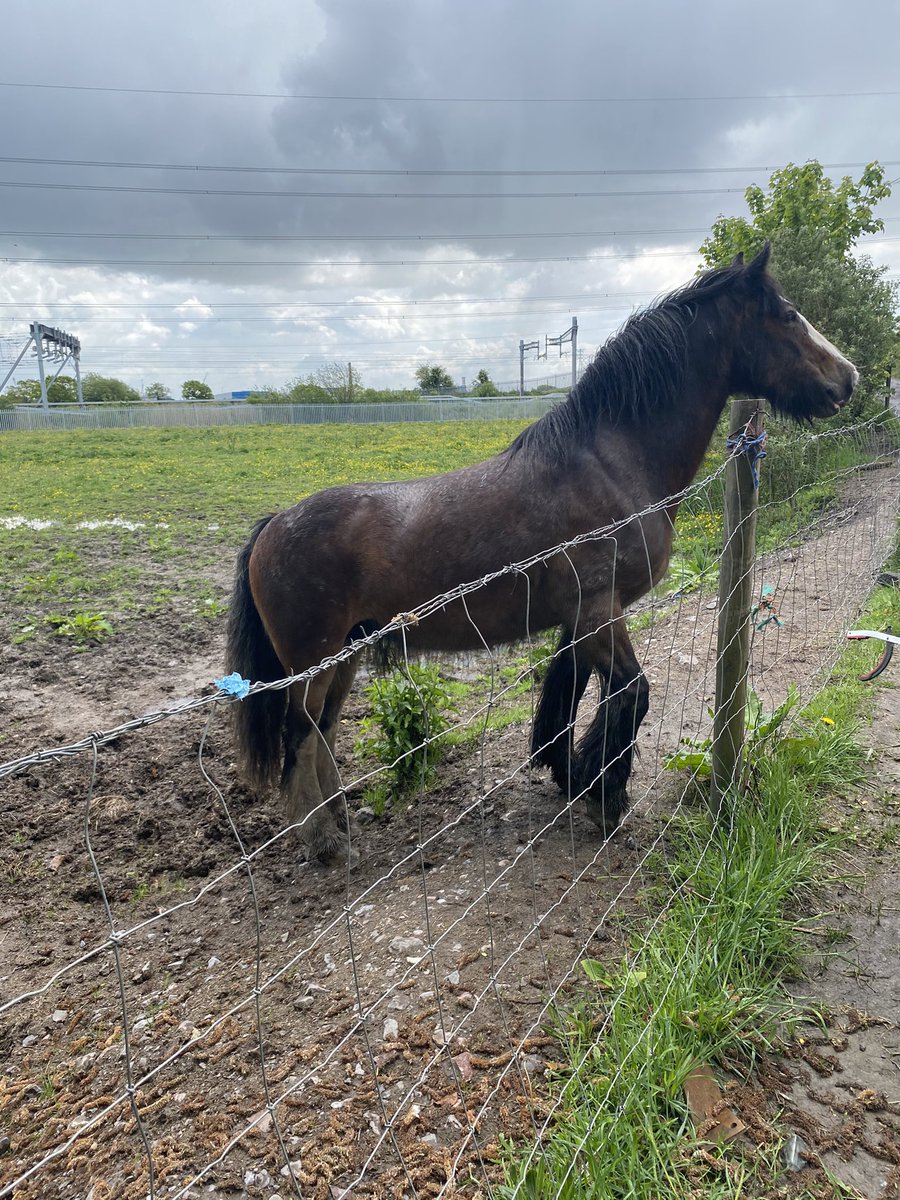 Out litter picking with a group of service users this morning and had a friendly local come to check we hadn’t missed any rubbish, he was happy with our efforts but not with our lack of polos