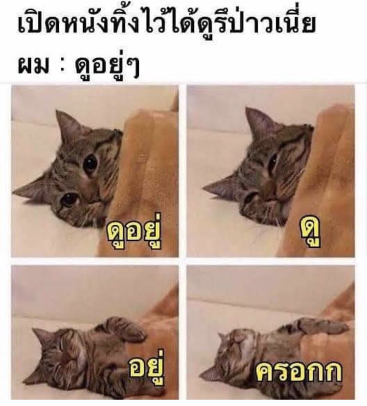 storymheee's tweet image. ดูอยู่ๆ 5555555555555555555555