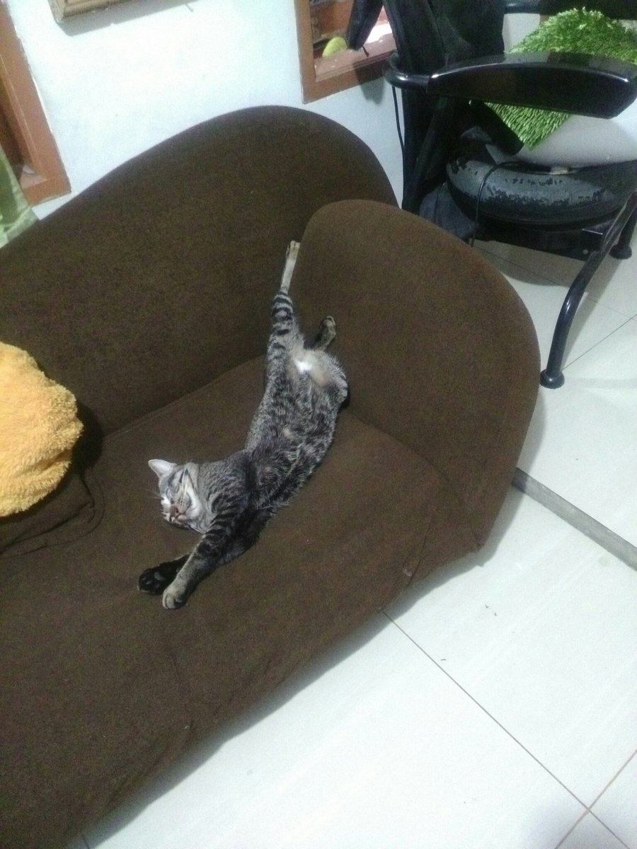 TwitnyaV's tweet photo. Bayi nya lagi bobo... https://t.co/i2vqaPGR58