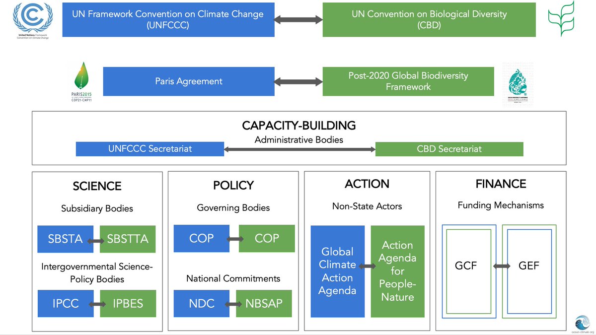 [📢POLICY BRIEF] “Swimming the talk: How to strengthen collaboration and synergies between <a href="/UNFCCC/">UN Climate Change</a> and <a href="/UNBiodiversity/">UN Biodiversity</a>?” 

👉<a href="/ocean_climate/">Ocean & Climate Platform</a> explores 4 entry points across #science, #policy, action &amp; #finance in its latest policy brief: 
ocean-climate.org/en/policy-brie…

#OceanforClimate