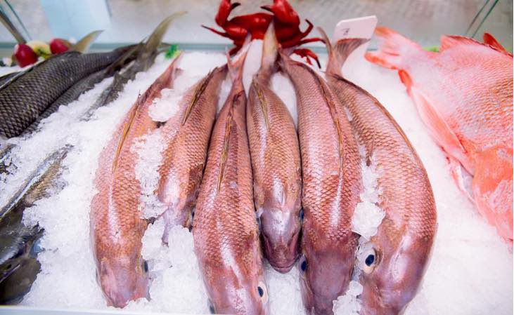 PenhSi's tweet image. CBFI flake ice machine, which is widely used in the seafood processing, seafood cooling and concrete cooling etc.
For more details, please contact:
Email: claire@icemakerchina.com
Tel/WhatsApp/Viber/Wechat: +86 15767052287
#tubeicemachine #flakeicemachine #blockicemachine #cold