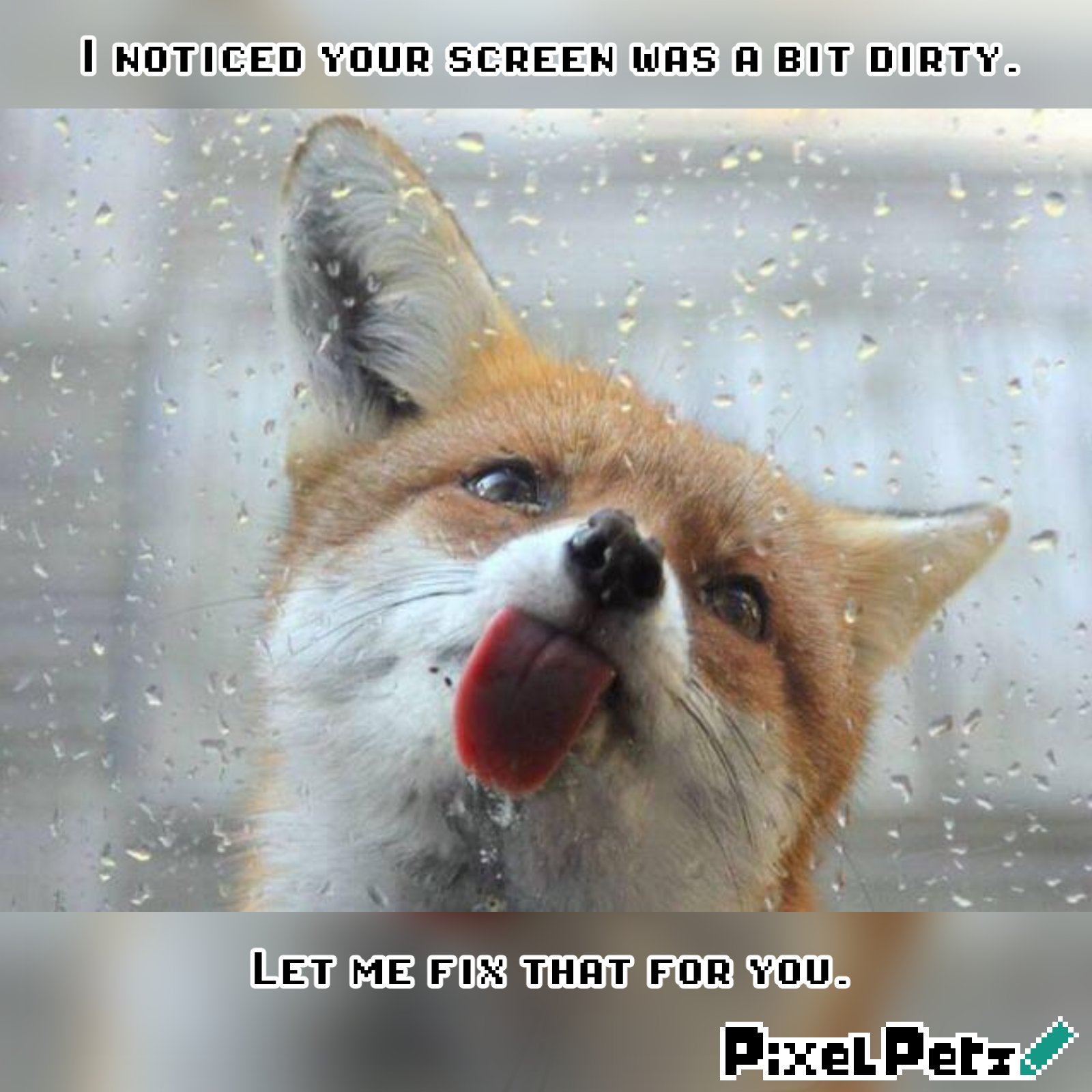 Pixel Petz on Twitter: Pixel Petz on Twitter: