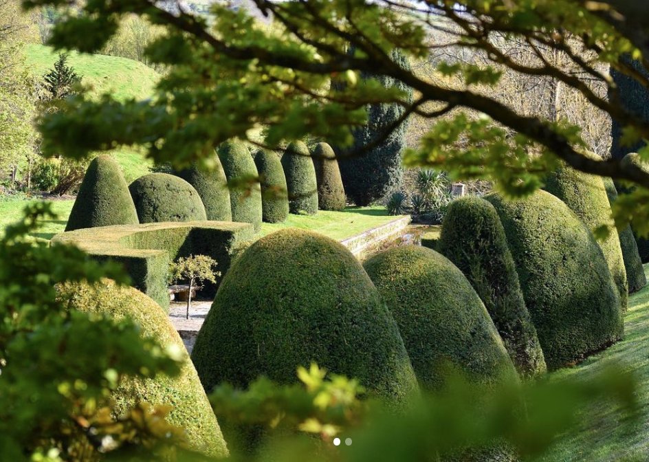 GARDEN OF THE YEAR AWARD CEREMONY : Historic Houses would like to invite you to a short online event to celebrate Mapperton Gardens, winner of the 2020 Garden of the Year Award, tomorrow at 4pm BST

Register for your place at zoom.us/webinar/regist…