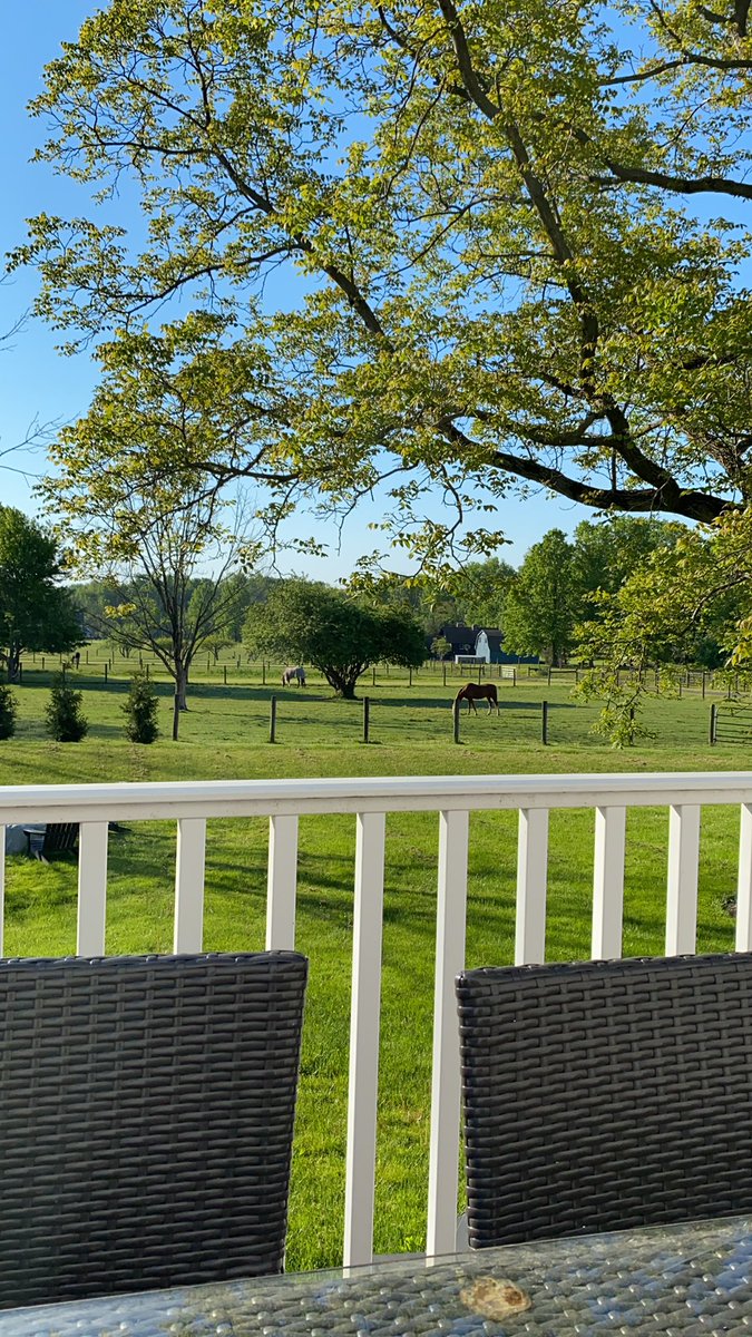 Having a moment of feeling #thankful that I’m able to start my day outside on a beautiful morning sitting on the deck, drinking coffee with horses in my backyard. #inspiration