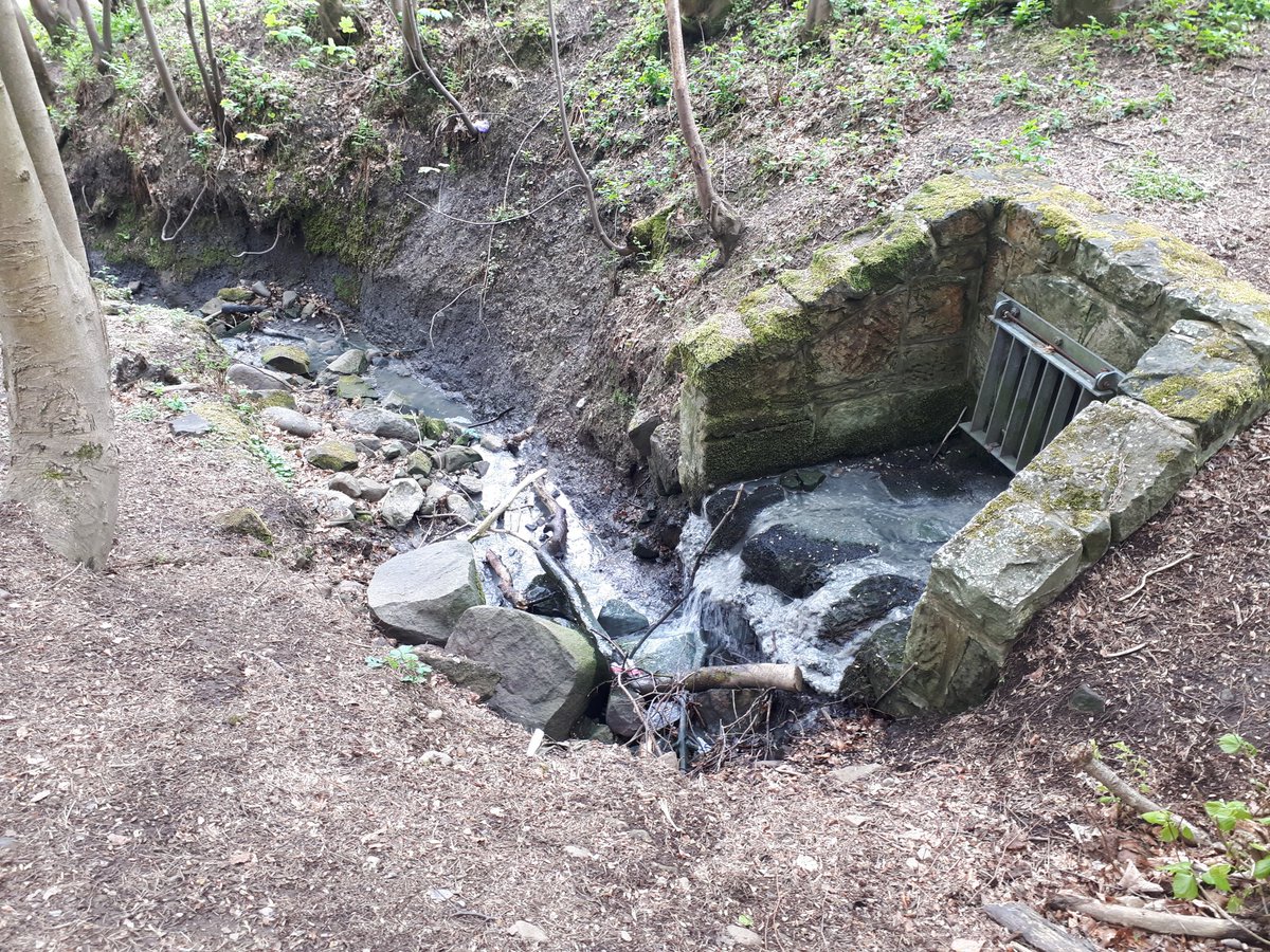 GoWithTheF1ow's tweet photo. Inspired by the @Action4Almond I explored the #Lochshot #Burn in #Livingston at the weekend. I saw lots of pressures on #urban #watercourses including #sewage #outfalls #litter #plastics #straightenedrivers https://t.co/Mp7I4p242t
