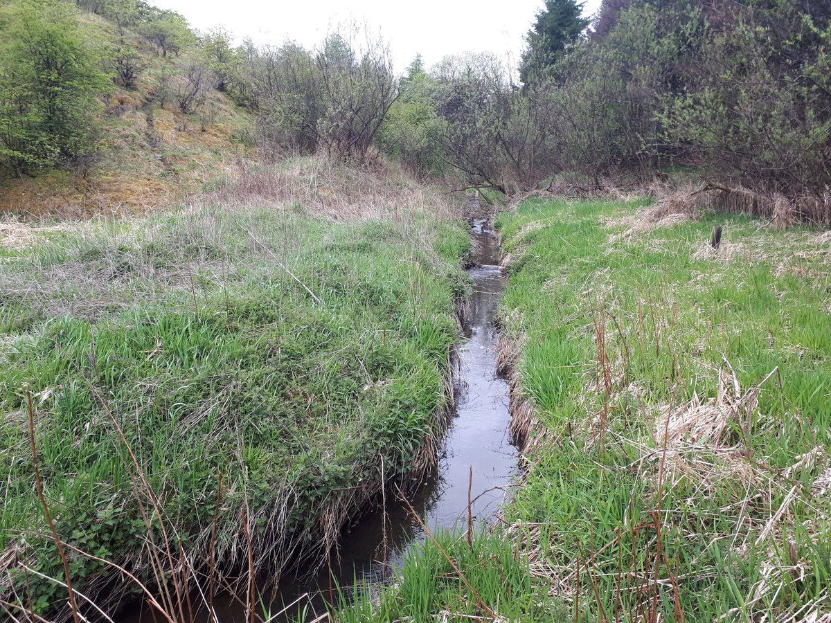 GoWithTheF1ow's tweet photo. Inspired by the @Action4Almond I explored the #Lochshot #Burn in #Livingston at the weekend. I saw lots of pressures on #urban #watercourses including #sewage #outfalls #litter #plastics #straightenedrivers https://t.co/Mp7I4p242t