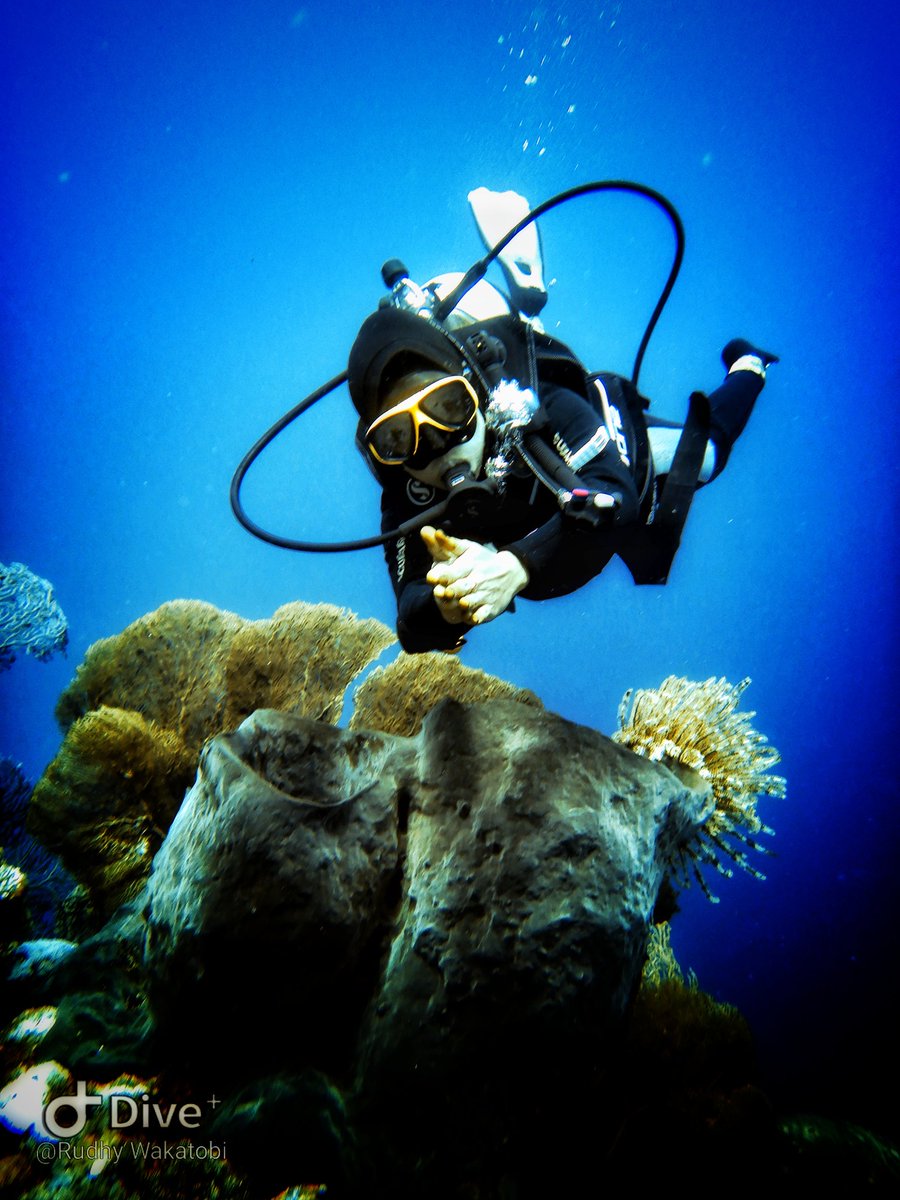 Rudhy_wakatobi's tweet photo. Relax👌👌
More info dive trip at Wakatobi :
WhatsApp : +6285299007429
Email : rudhydm18@gmail.com
#wakatobidivingholiday #divetoday #may_17_2021 #scubadiving #scuba #dive #diving #underwater #underwaterphotography https://t.co/9MSHo9gCP1