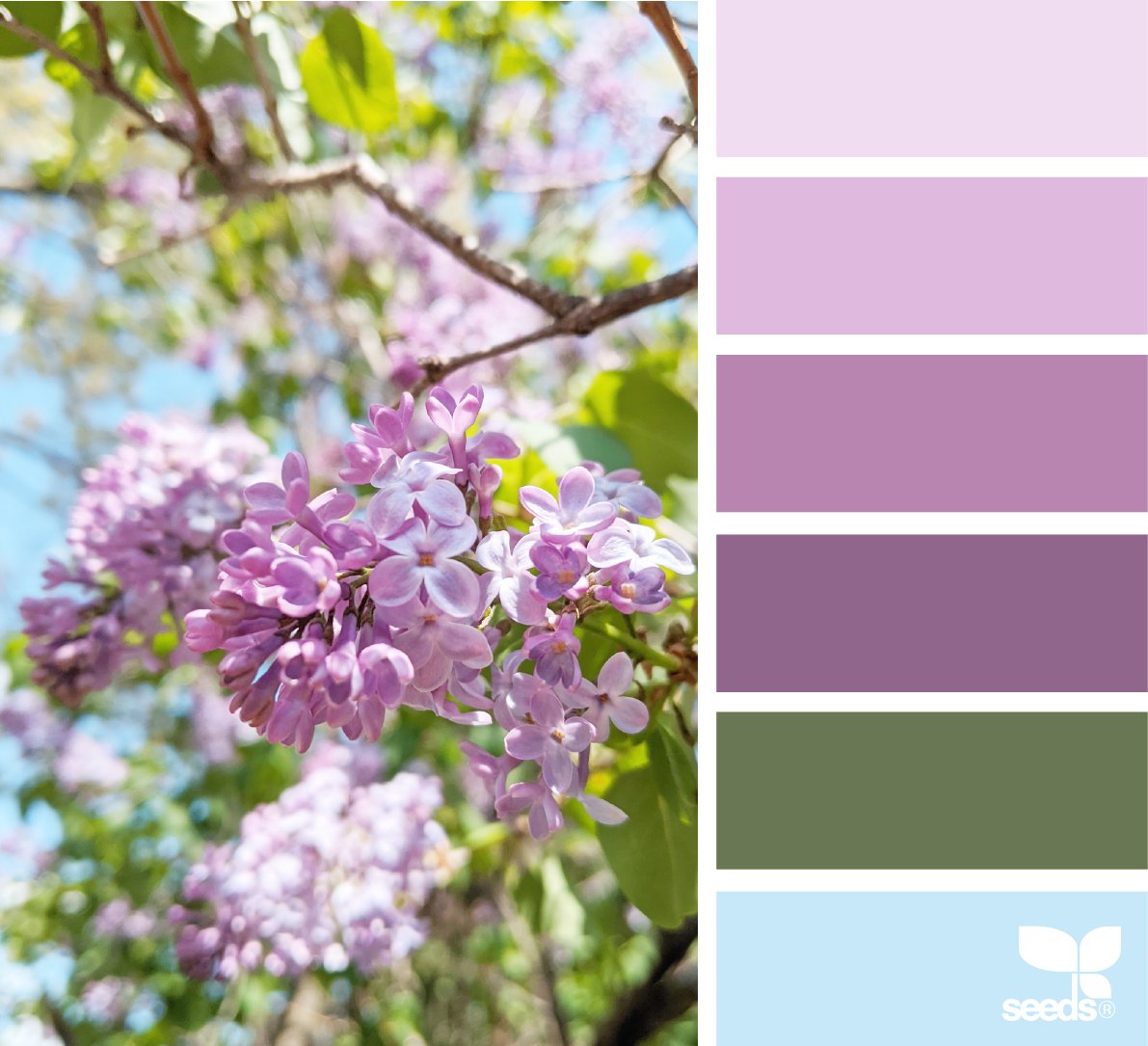 CityPaintGroup's tweet image. Spring is in the air.
Ready to refresh your space?
Visit our website for a free remote or on site estimate.
#springinspiration #designseeds #springblooms
ow.ly/HLwx50EKfNO
Image source: design seeds