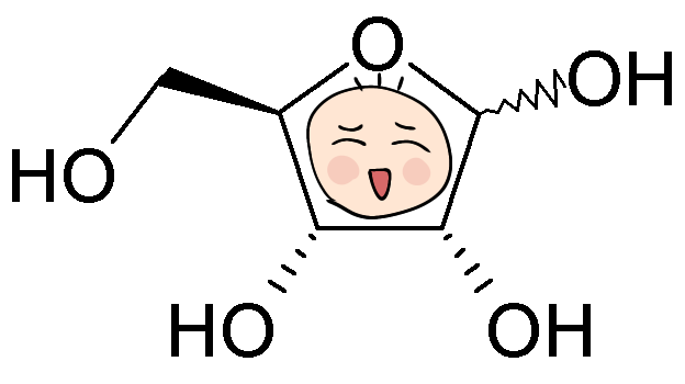 てれてれぼうず様ご確認用 Ieg Com Vn