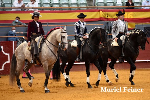 muriel feiner tweet media