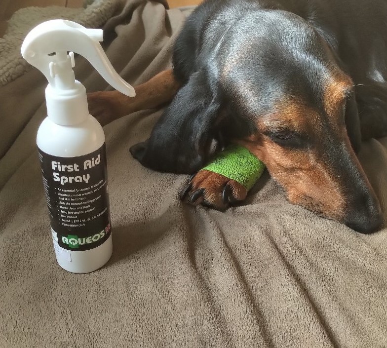 Aqueos (@aqueoscare) on Twitter photo Always handy to have a bottle of Aqueos First Aid Spray in your first aid kit. It doesn't sting so perfect to spray on any minor wounds or cuts. #caninefirstaid #equinefirstaid <a href="/PetFedUK/">Pet Industry Fed.</a> @PATS_TELFORD Always handy to have a bottle of Aqueos First Aid Spray in your first aid kit. It doesn't sting so perfect to spray on any minor wounds or cuts. #caninefirstaid #equinefirstaid <a href="/PetFedUK/">Pet Industry Fed.</a> @PATS_TELFORD