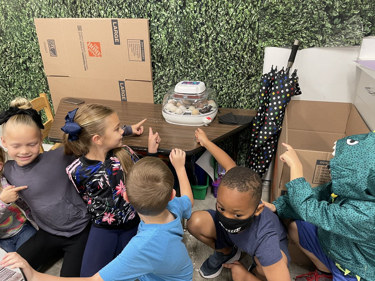 Katelyn Self tweet media