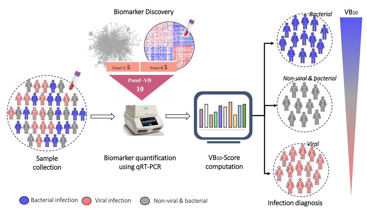 iiscbangalore's tweet image. In a new study, researchers from IISc have identified molecular biomarkers that can be used to detect and predict with high probability whether an infection is viral or bacterial
iisc.ac.in/events/new-blo…