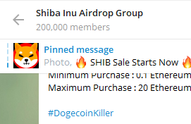 SHIB INFORMER tweet media