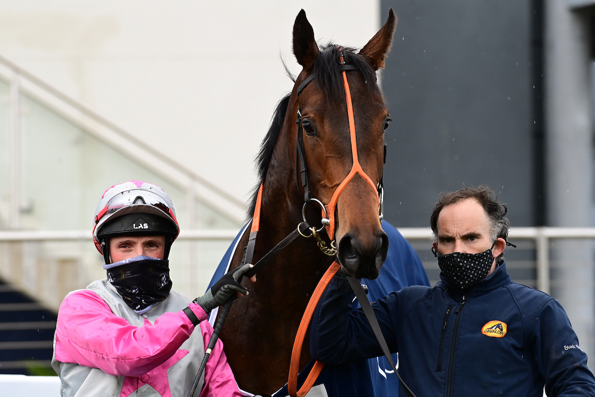 Stack_Racing's tweet image. Gr.3 Success for Hermana Estrella On Debut... bit.ly/2SSJbMx #StackRacing