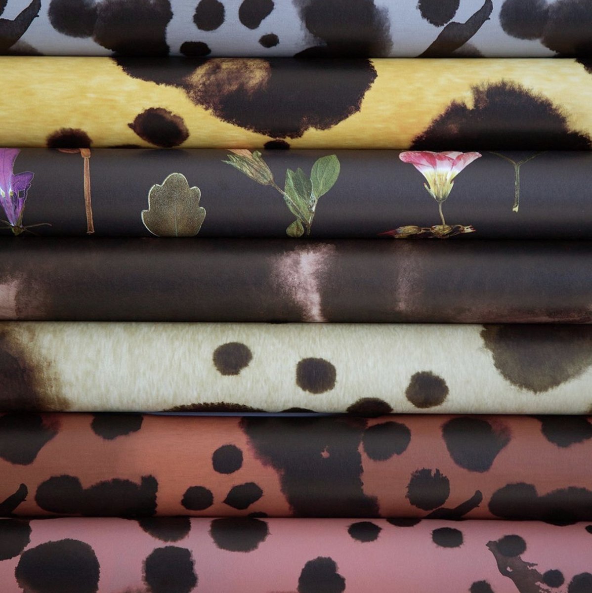 wetseal's tweet photo. Playing with prints 🐾 https://t.co/i6qksf1BAI
