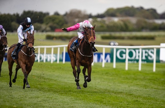 Stack_Racing's tweet image. Gr.3 Success for Hermana Estrella On Debut... bit.ly/2SSJbMx #StackRacing