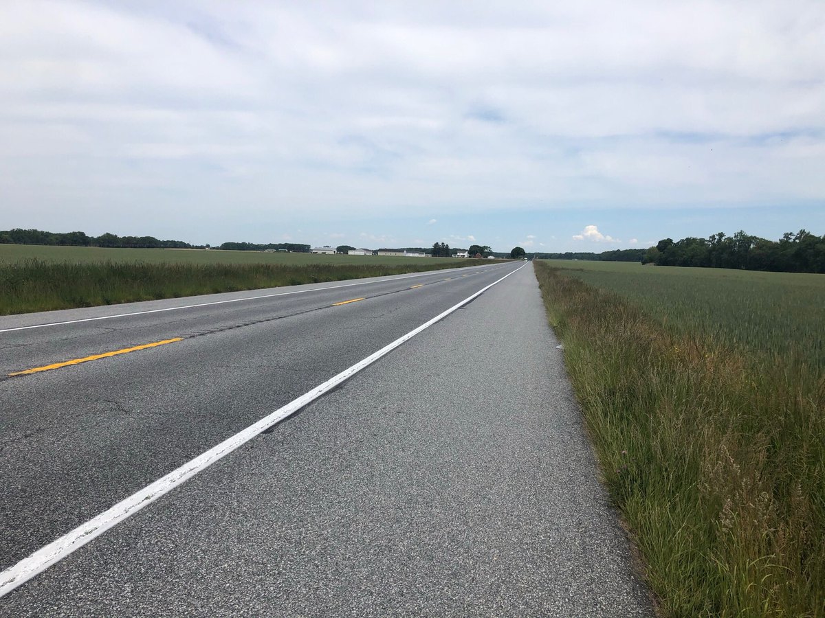 Cycling in central Delaware. Wetlands, ‘tater fields, and flat roads. 60 miles up and back DE route 9. R&amp;R before the summer turf sample rush!