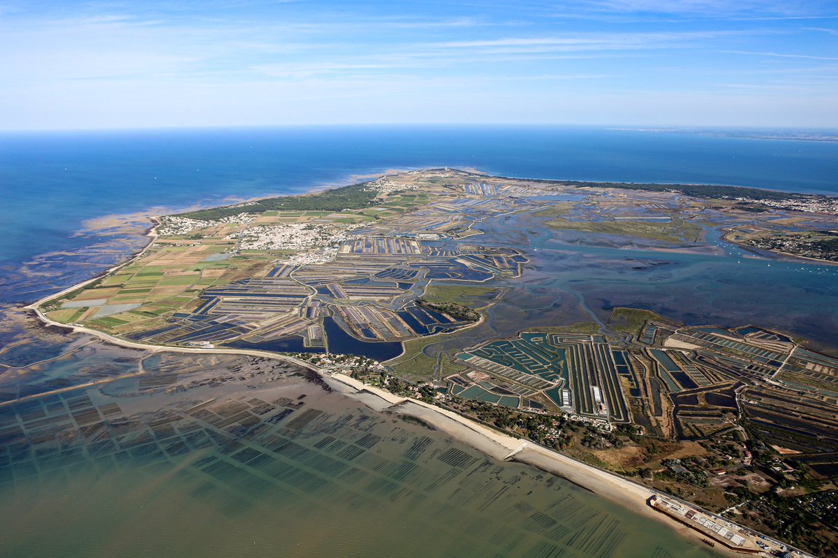 volsdemax's tweet photo. L’île de Ré sous le soleil ☀️

#iledere #larochelle #charentemaritime #avgeek @IledeRe_ @LesCharentes https://t.co/SEM2UJ428n
