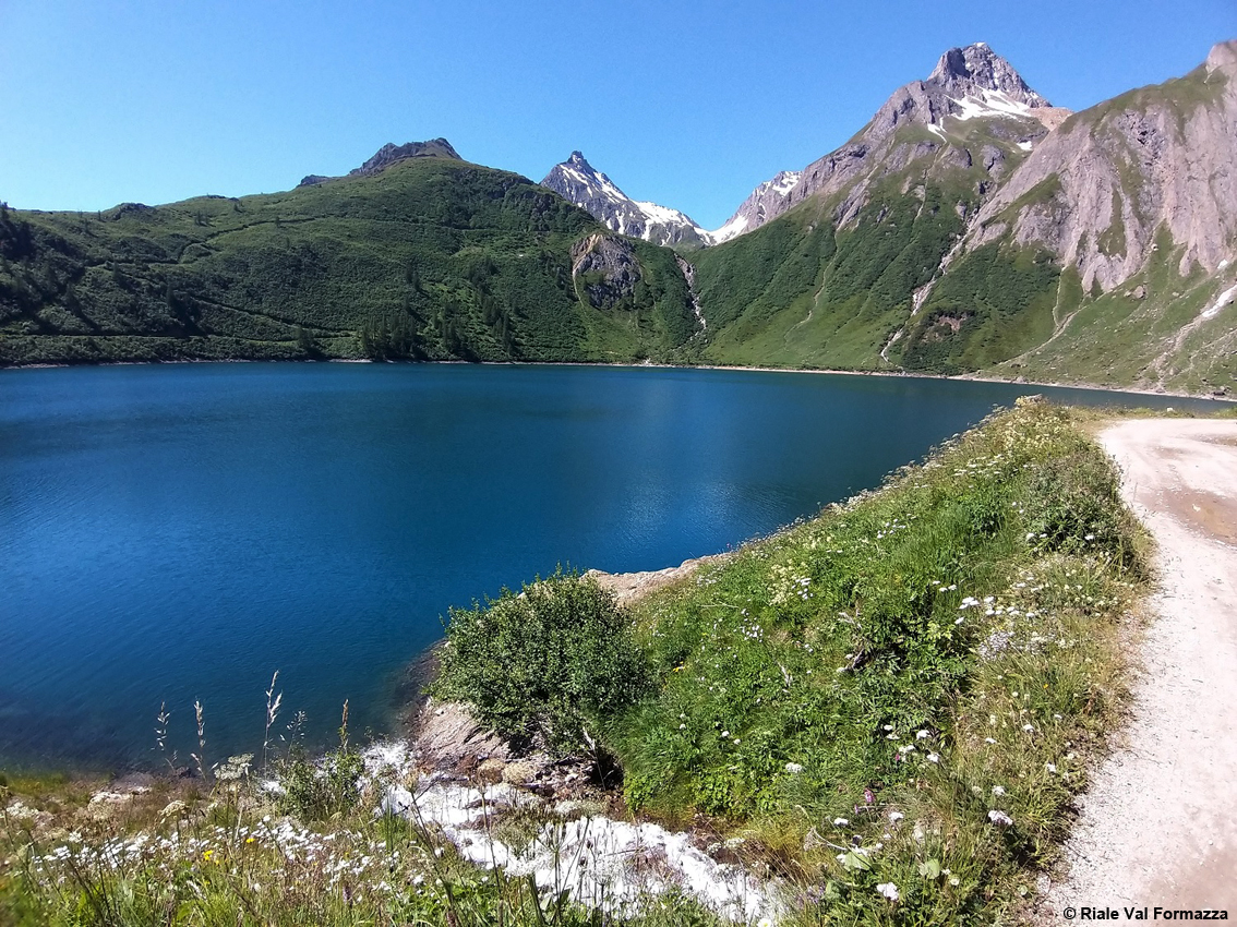 TurismoItaliaNw's tweet photo. PIEMONTE | Riale e la Val Formazza: un’estate di ripartenza tra sport, natura e buon cibo nel cuore delle Alpi Lepontine
Leggi la notizia https://t.co/Xa3FjaIC3p
#Piemonte #Riale #ValFormazza #AlpiLepontine #turismo #estate2021 #BettelmattUltraTrail #Bettelmatt @piemonteparchi https://t.co/DgbWxEIH2q