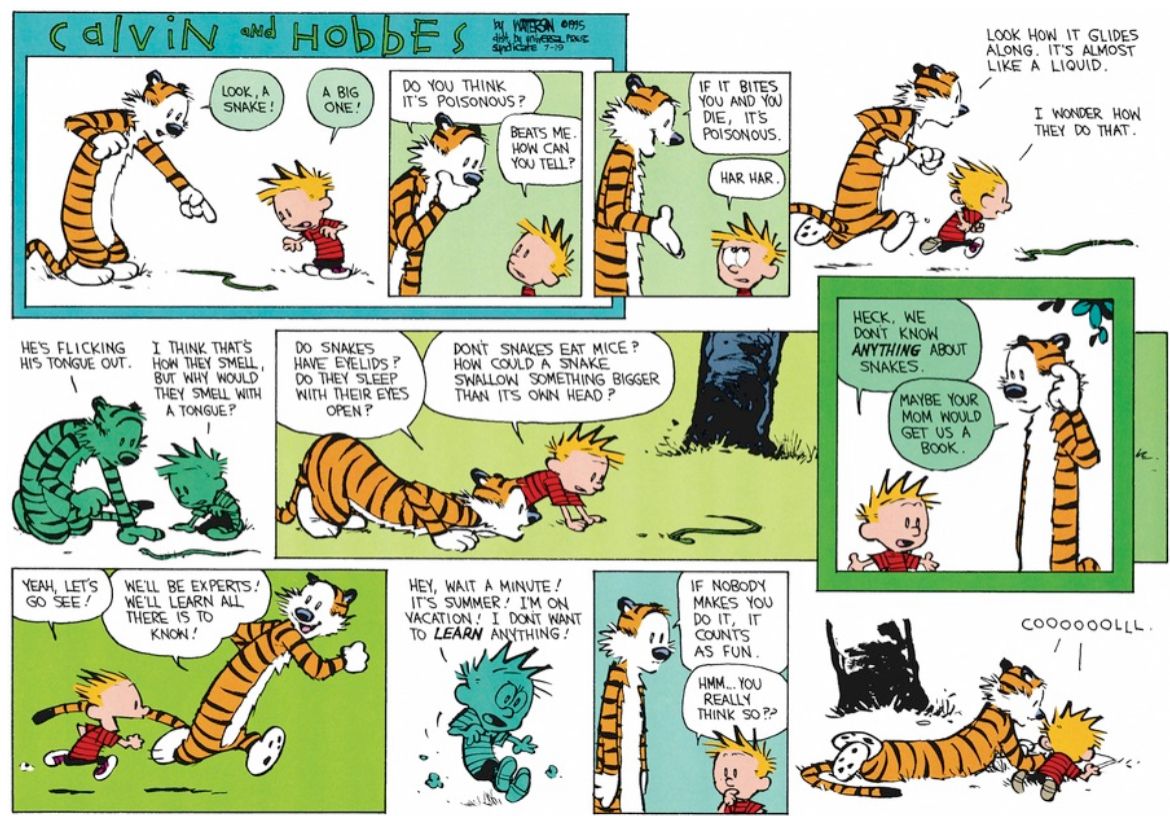 Calvin and Hobbes Fan Account tweet media