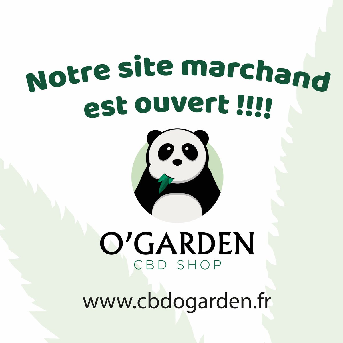O'garden (@Ogarden5) / Posts / X