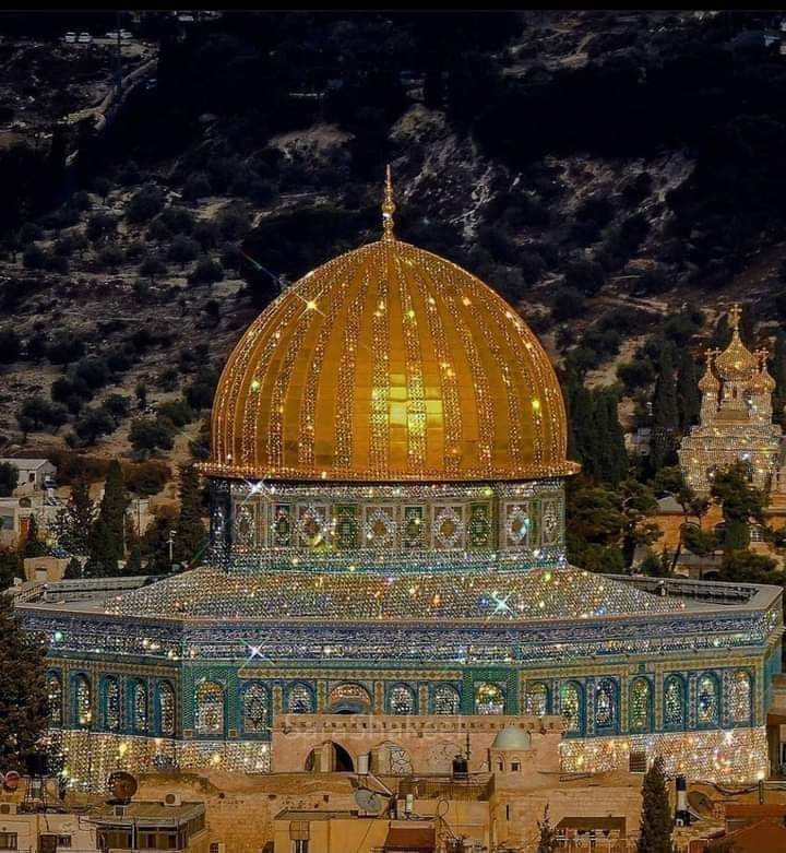 M7tilf's tweet photo. Israel killed 200 Palestinians in Gaza in less than 6 days. 200. Many were sleeping, others eating, some were playing on swings &amp; others praying!

#طلاب_مصر_في_خطر_ياريس https://t.co/VN2HJdF8di