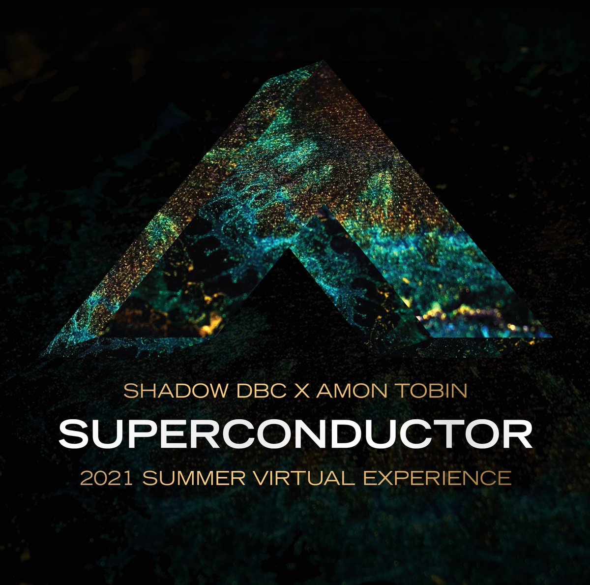 shadow_dbc's tweet photo. TWO MORE WEEKS TO SIGN UP!!! Hone your skills, receive expert feedback, meet amazing people, and contribute to a one-of-a-kind performance, all with an easy/flexible time commitment (totaling about a day a month) and only $250! More detailed info: https://t.co/EuzM2eWPAZ https://t.co/cLPT9nTZWF