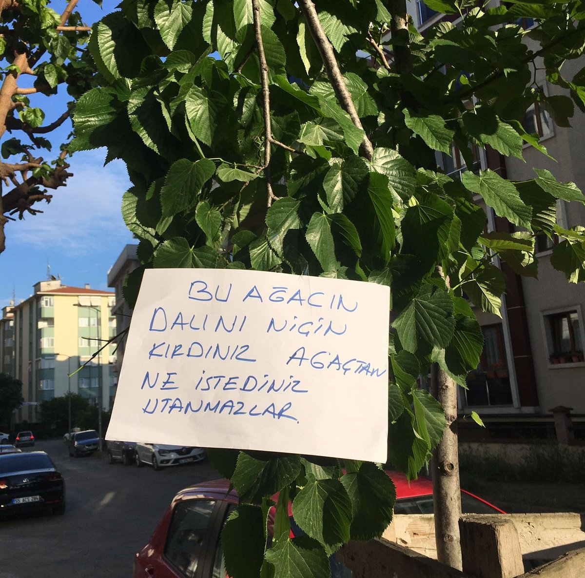 Peki ya kalbimizi kıranlar... jdkdkdls