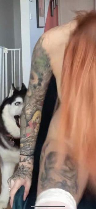 Me: *doing a strip dance for of* My dog: REPENT YOU WHORE https://t.co/Gq4S5aIewe