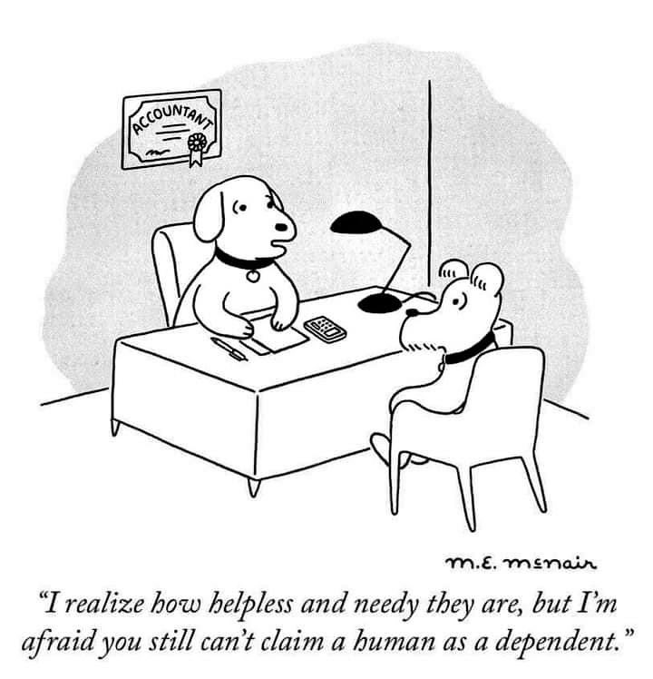 pupperspetcare's tweet photo. Tax Day! ♥️🐶🐾 #pupperspetcare #dogwalker #dogsitting #dogcheckin #dogservices #dogs #puppies #puppiesoftwitter #puppers #bestjobever #ilovemyjob #cprcertified #adoptdontshop #dogsonadventures #dogsarebest #doglife #fortheloveofdogs #dogsoftwitter #taxday #usa #socal #ca https://t.co/YWzyHgGDdO