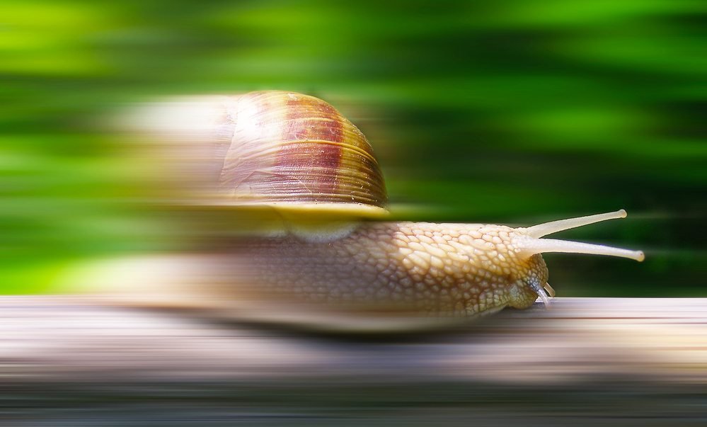 AntonSamarevich's tweet image. $BSCS, #BSCStation &amp;amp; #ZKCHAOS