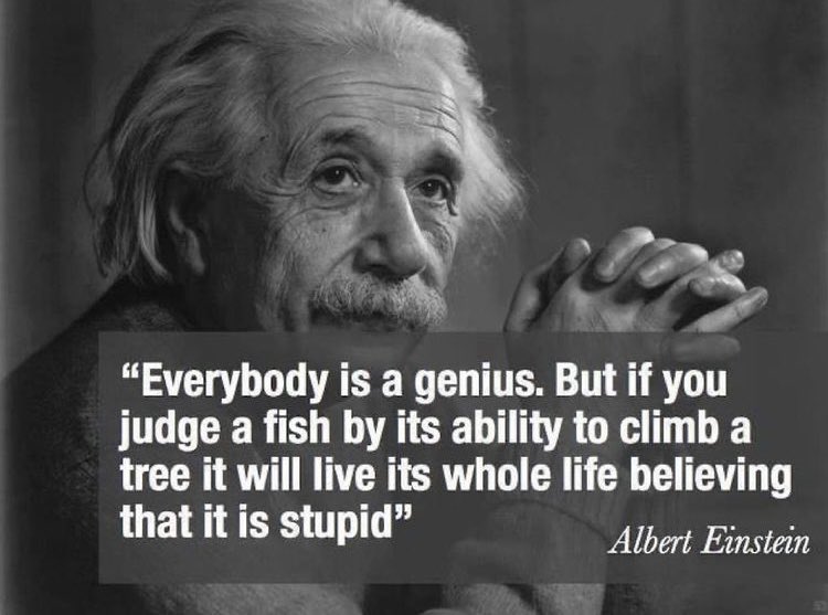Johnsteelsax's tweet photo. Just sayin! 
https://t.co/bopx6IW5p6 
#Einstein #AlbertEinstein #IntelligentlyBeautiful @intelligence #music #reality #cars #GOVERNMENT #LatestNews #PeopleHelpingPeople #TV #gasshortage https://t.co/47a7tFlaGA