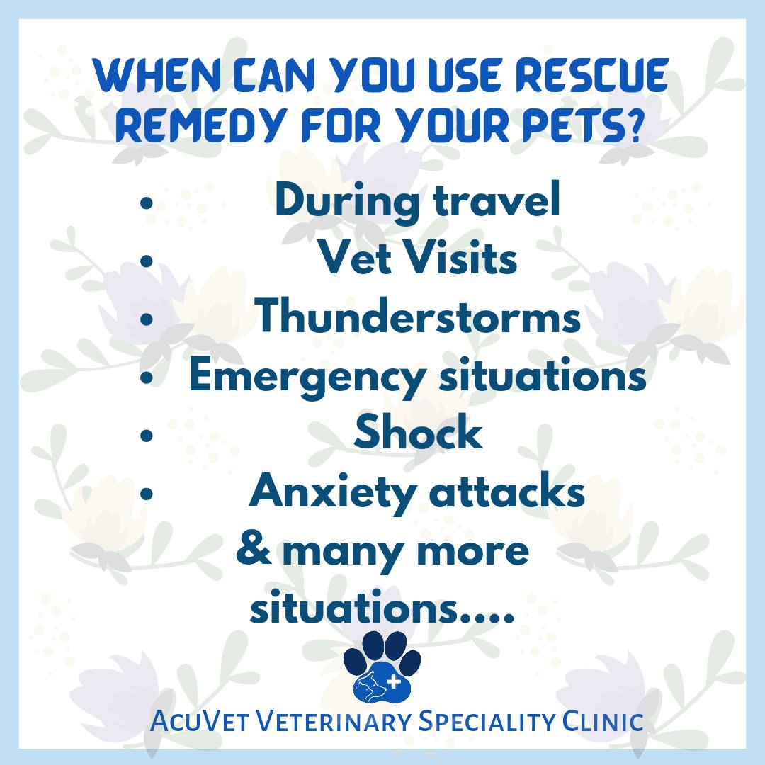 AcuVetIndia's tweet photo. Rescue remedy is one of the amazing combinations of #BachFlowerTherapy which helps our #pets in a number of situations

#bachflowers #holisticvet #holistichealth #holistichealing #holisticliving #mumbai #CycloneTauktae #TauktaeCyclone #taukate https://t.co/GaKYUGE2gS