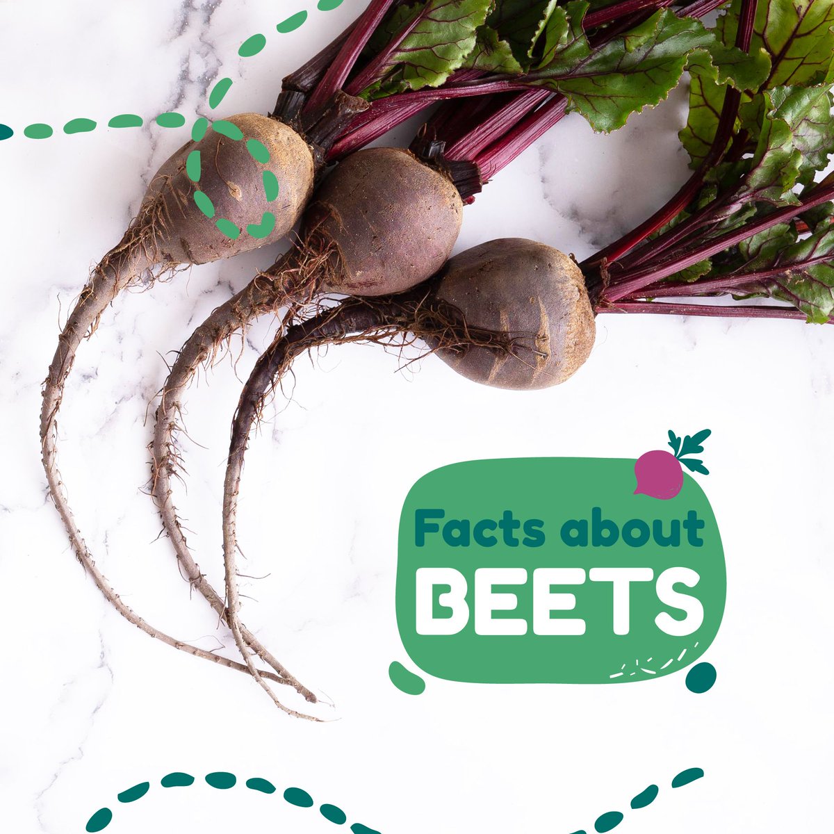 bowiesbites's tweet photo. Three reasons to feed beets to your dog!

They're a great source of vitamin D. 🤩

Beets help to strengthen your dog's immune system. 💪

They’re also one of Bowie's Bite's favorite flavors! 💗

Does your dog like beets? 

#doglife #dogtreats #dogtreat #treatyourself https://t.co/Kj25Iz47QZ