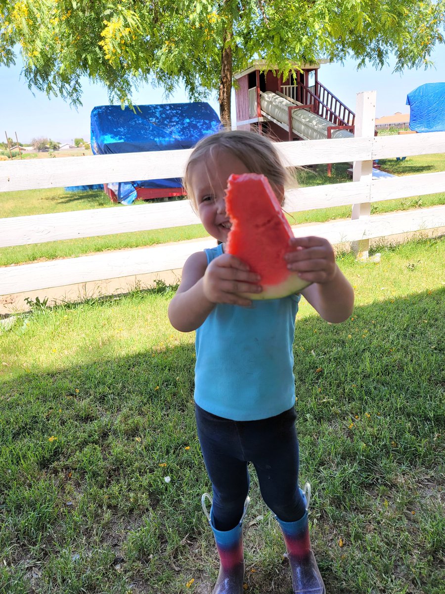 Nothing taste better than cold sweet watermelon on a hot day! #watermelon  #good4u
