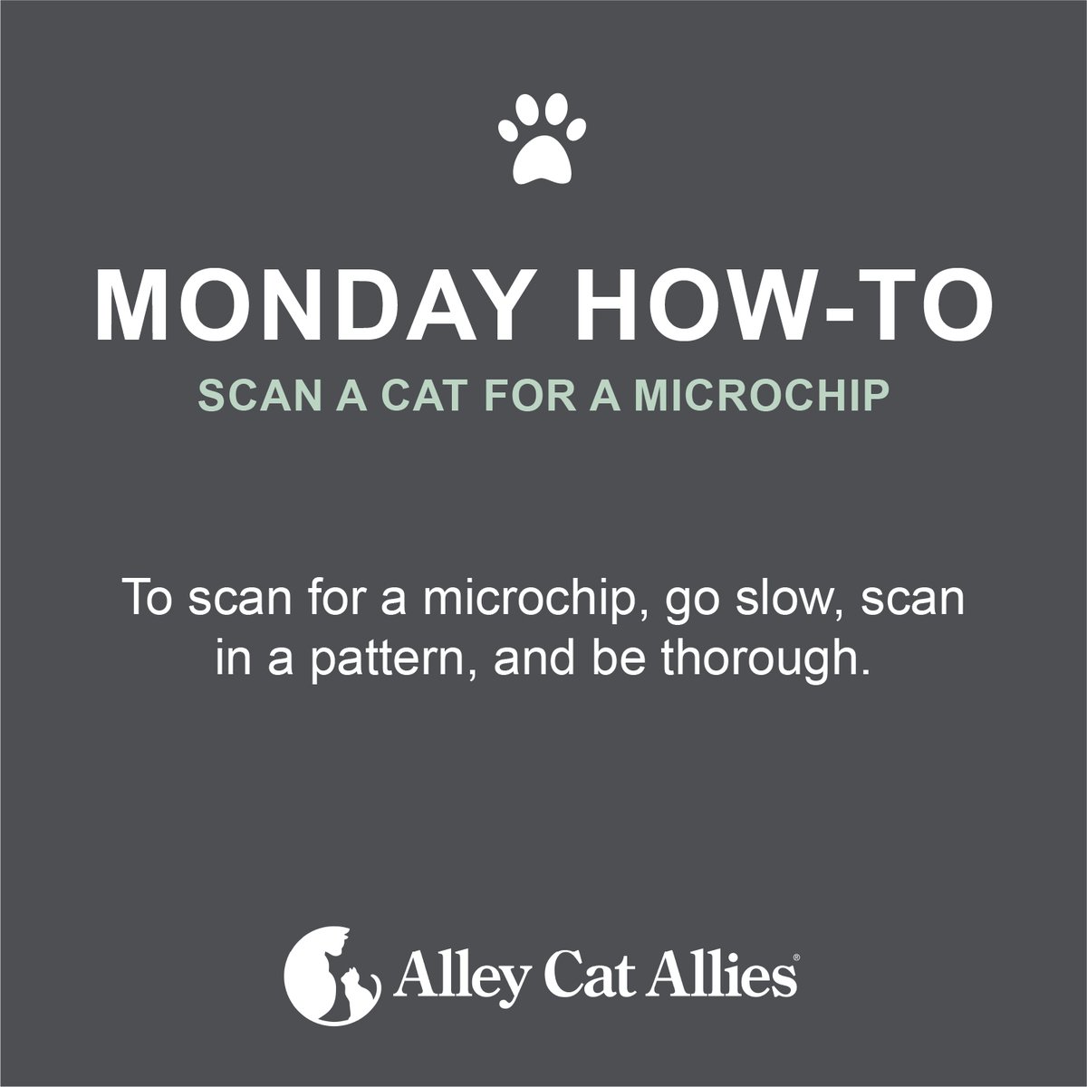 alleycatallies's tweet photo. Scanning a cat for a microchip can save their life! ๐
Our Plan to Scanยฎ information helps animal shelters and veterinary professionals make happy reunions for cats and the people caring for them.
Learn more: https://t.co/4XlGkJv4am
#SaveCommunityCats https://t.co/Zk3jKd0wn4