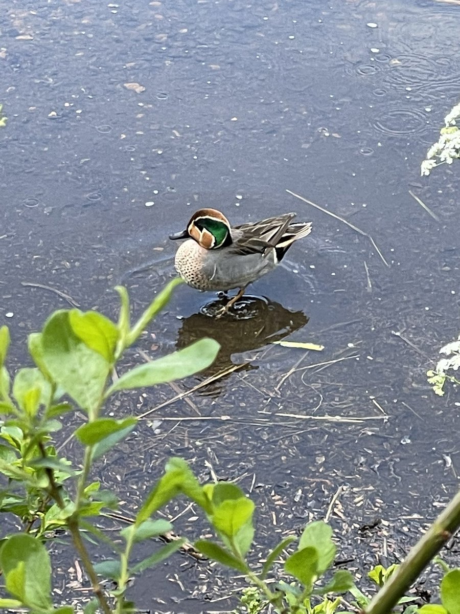 Chase Lakes EST 2007 tweet media