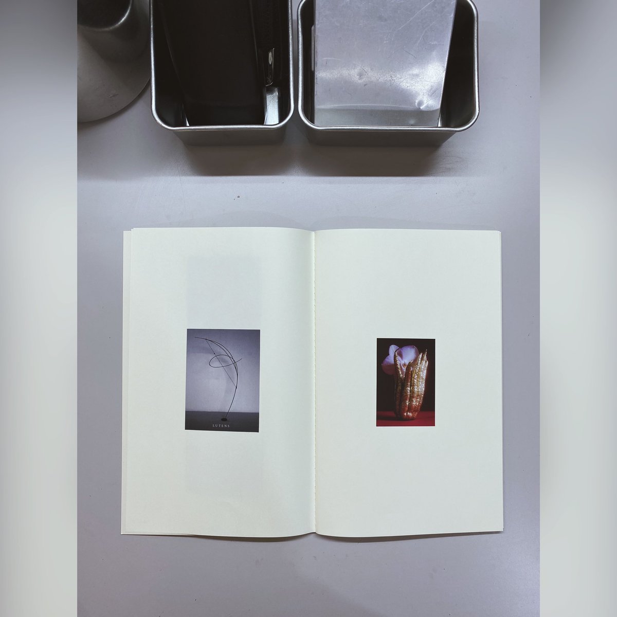 かっこいいシールや紙物頂くとiPhone caseに挟んで楽しんでいたのですがいっぱいになってきたのでノートに纏める事にした。学生の時沢山好きなイメージを集めてノートに切り貼りしていたのを思い出します。貼るのは一発勝負なので配置をどうするかとか悩むのが楽しい。
いい画は余白が多くても持つな。