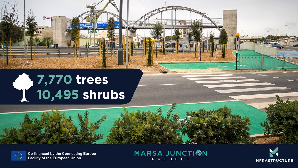 InfraMalta's tweet photo. 🌳 #MarsaJunctionProject - 7,770 new trees in #Malta's busiest junction. 🇪🇺 Project co-financed by the #EU's #ConnectingEurope Facility. 👷♀️ #WorkingForYou #SustainableInfrastructure #CEFTransport @cinea_eu https://t.co/OLyDiUORGd