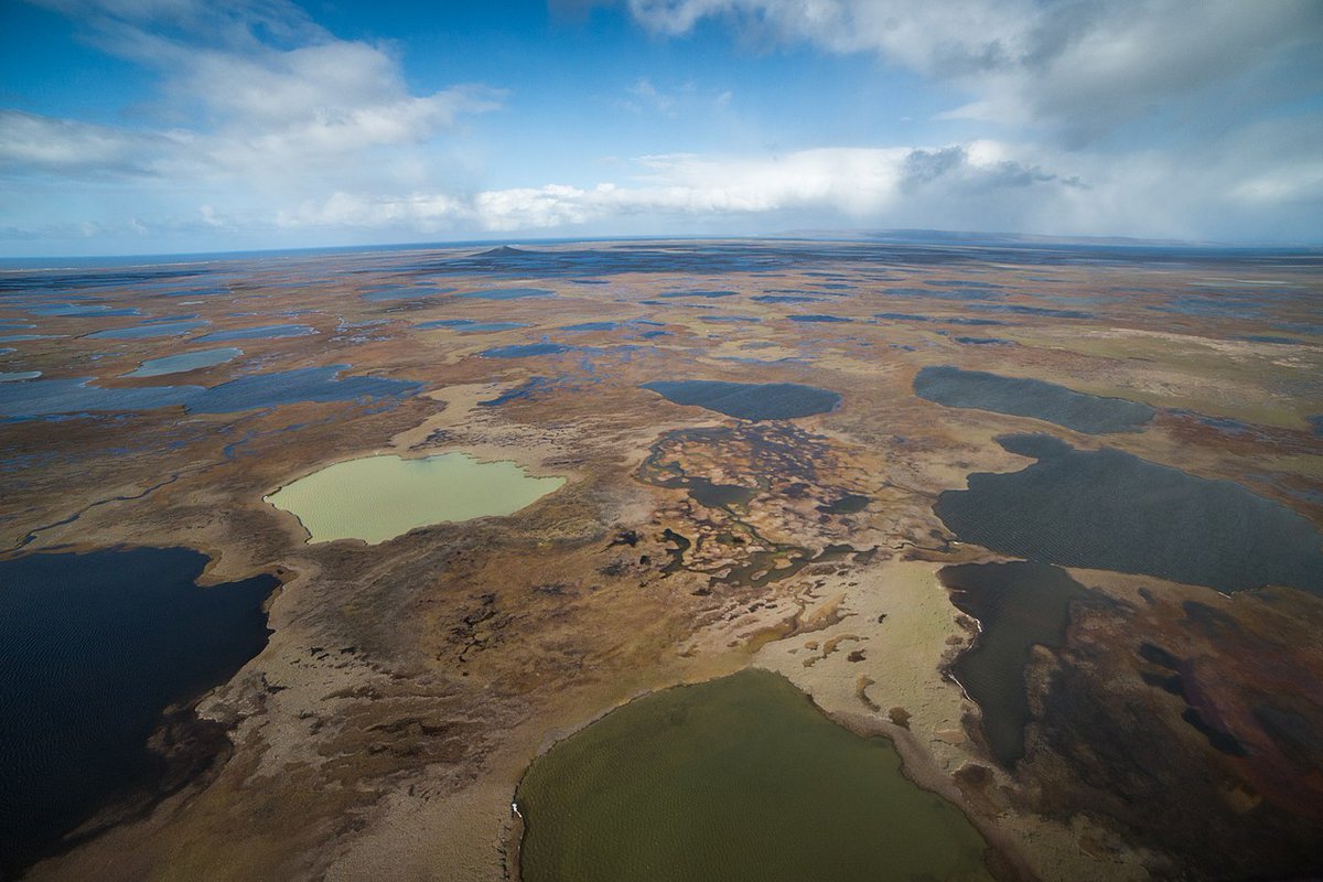 Cultural Worlds tweet media