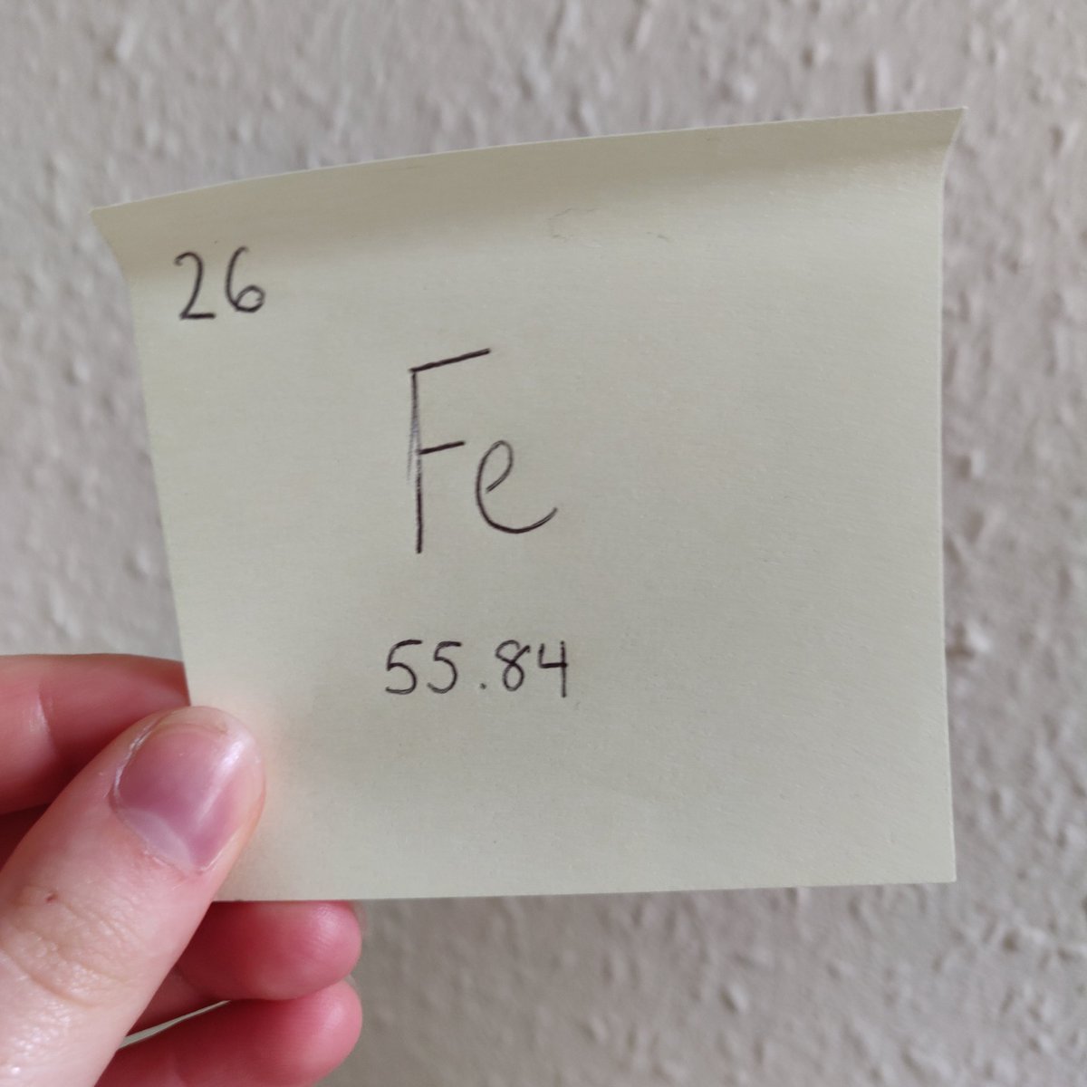 Lizzie Gray tweet media